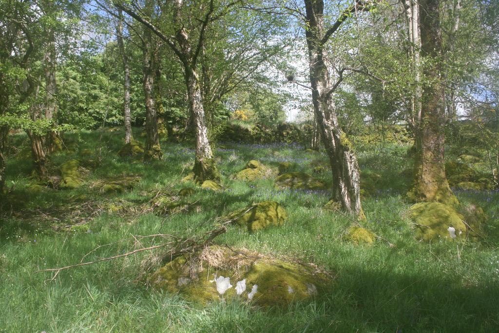 Laragh Mountain View Lodge Saggart Exterior foto